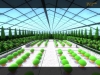 ss_garden0026