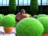 ss_garden0032